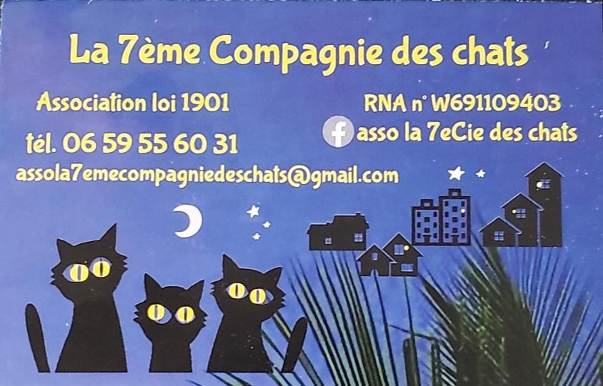 7e cie image accueil 1